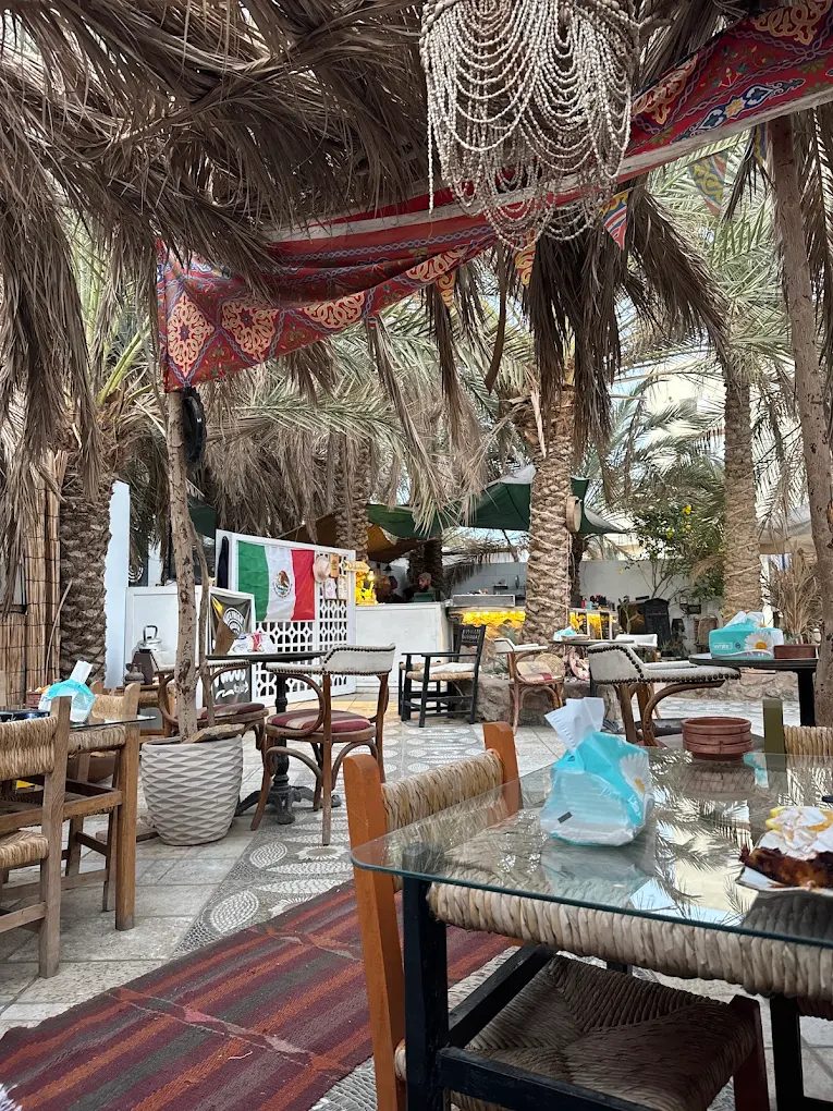 Taco’s dahab photo 5
