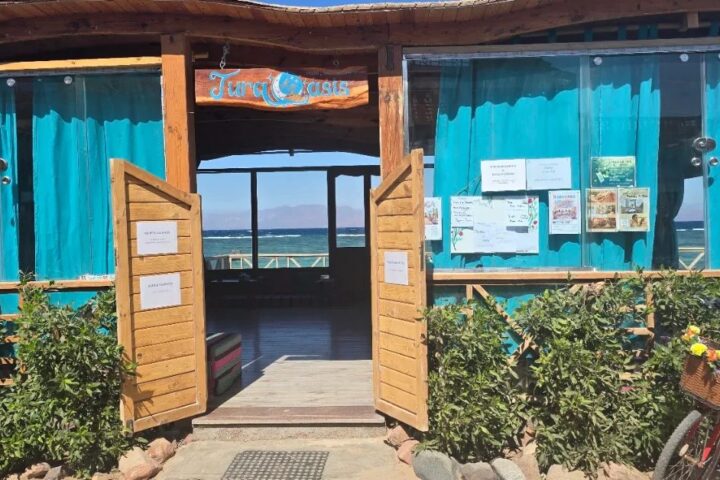 TurqOasis cafe & community space photo 1