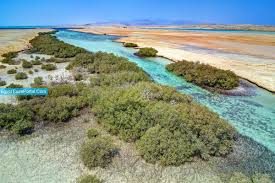 Ras Mohammed photo 2