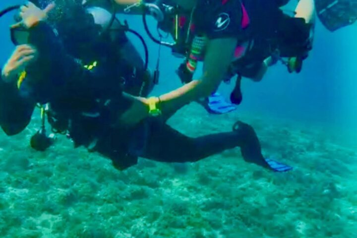 Intro Dive view 4
