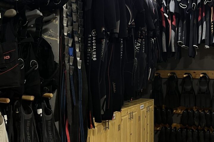 Divemaster photo 7
