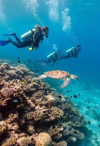 Divemaster photo 9