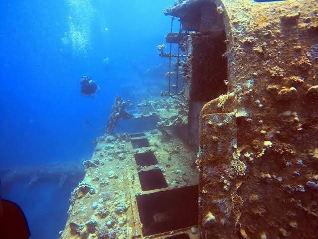 Divemaster photo 10
