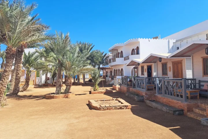 Shams Hotel & Dive Centre view 3