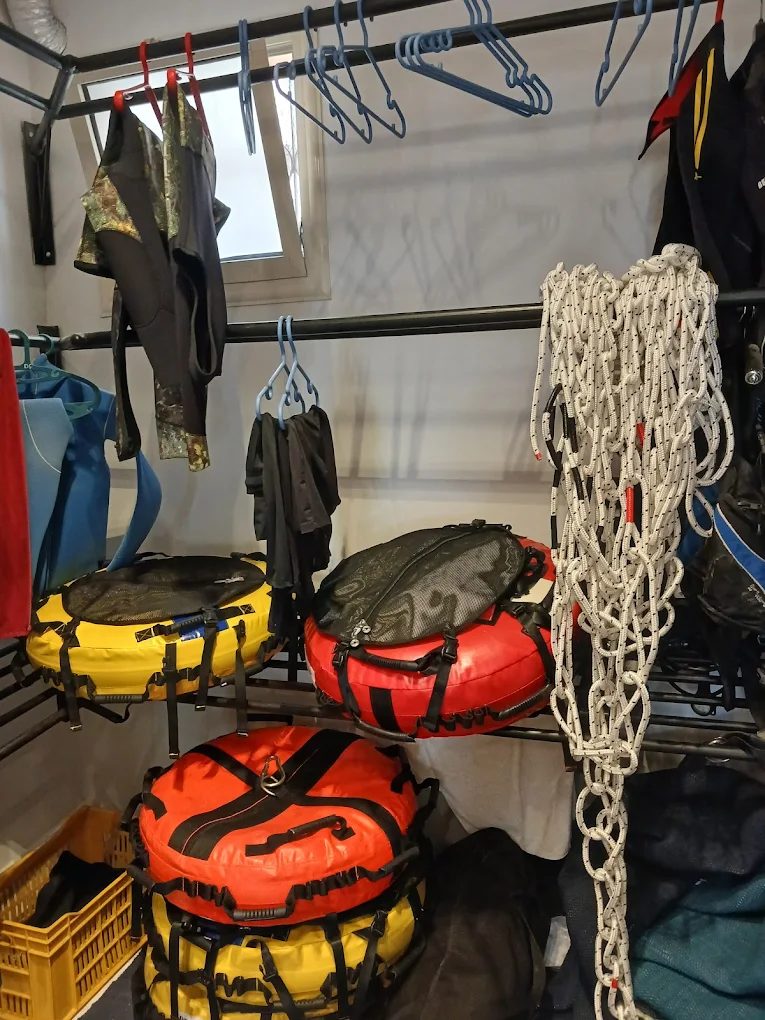 PADI Freediver photo 3