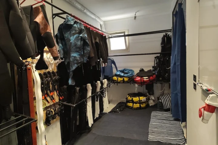 PADI Freediver Instructor photo 1