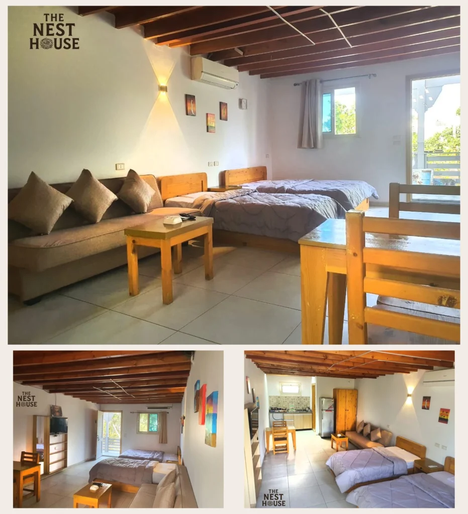 The Nest House photo 3