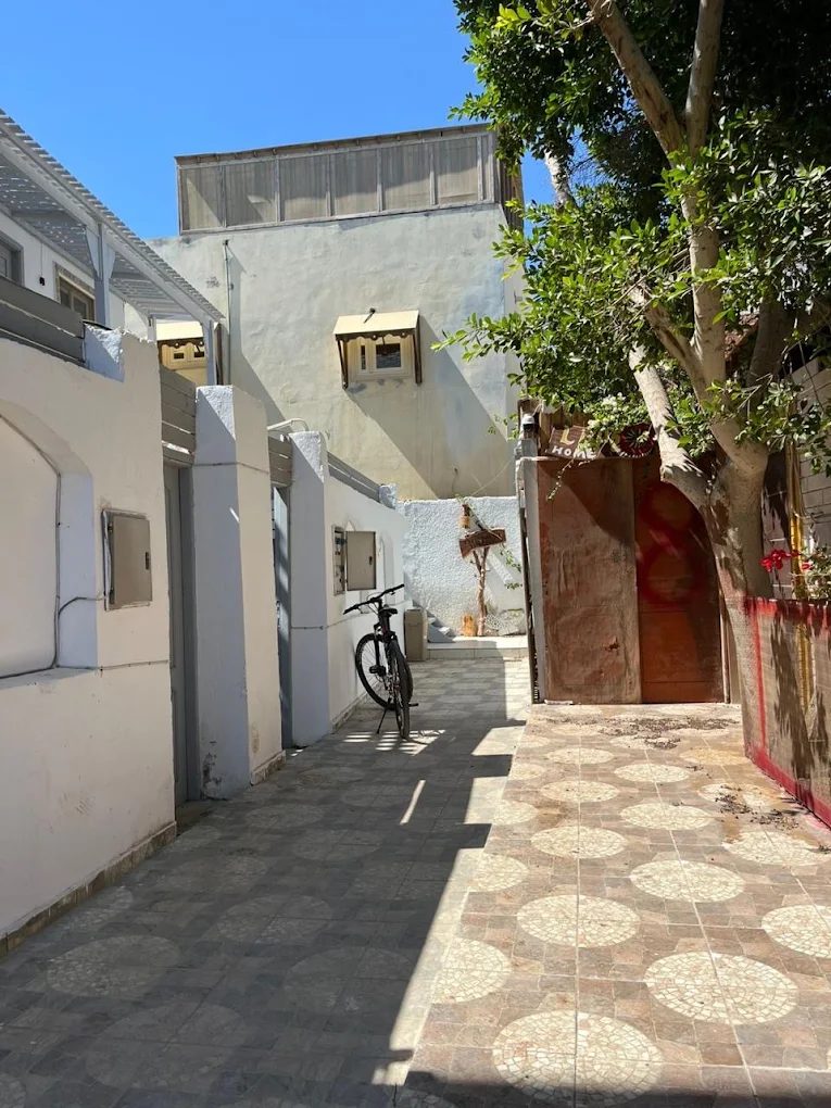 ذا نست هاوس — صورة 2