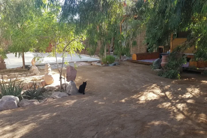 The Zen Garden view 1