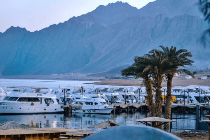 Evening Yacht Trip photo 3