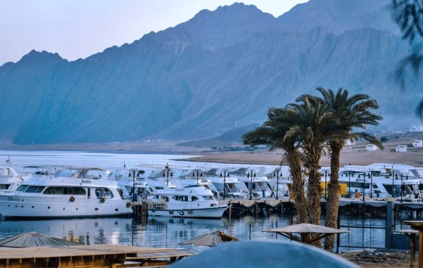 Evening Yacht Trip photo 3